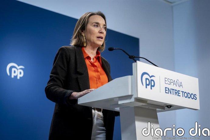 El PP anuncia querella contra Tezanos por usar el CIS para "inflar" y "beneficiar" al PSOE: "Se llama corrupción"