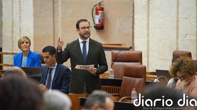 El PP de Jaén valora que el Gobierno andaluz aplique la gratuidad a la enseñanza en niños a partir de un año