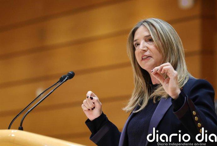 El PP quiere poner un anuncio en el BOE para citar en el Senado al empresario vinculado a Zapatero y Plus Ultra