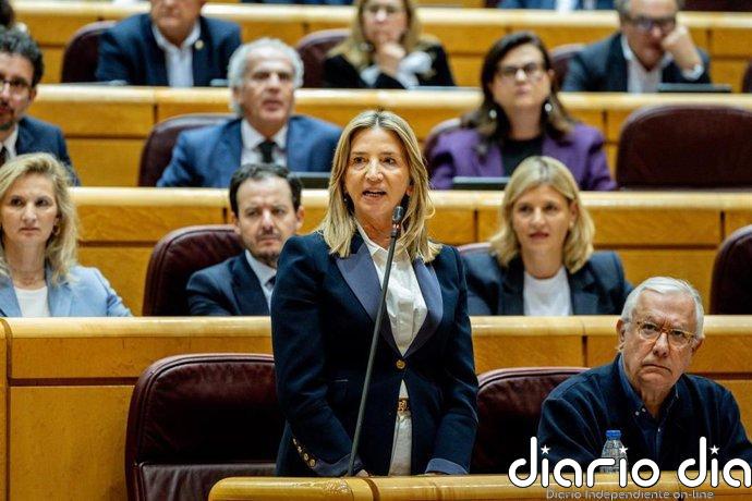 El PP usa su mayoría en el Senado para activar un mecanismo para forzar a la SEPI a detallar el rescate de Plus Ultra