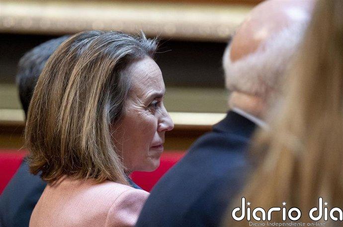 El PP verá "una a una" las medidas del decreto anticrisis y dice que hay que "rescatar" a los españoles, no al Gobierno