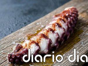 El pulpo de calidad Japón primera se convierte en uno de los ingredientes estratégicos de la alta cocina