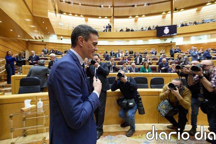 El Senado llevará a Pedro Sánchez ante el Constitucional por no acudir a un Pleno de enero