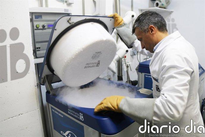 Empresas.- El Instituto Bernabeu advierte de que más de 100.000 embriones congelados están abandonados en España