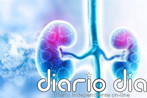 Empresas.- MSD y Eisai anuncian resultados positivos de 'Welireg' más 'Lenvima' para carcinoma de células renales