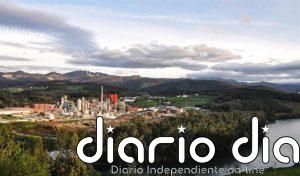 Ence prevé que las celulosas especiales alcancen este año cerca del 40% de sus ventas de Celulosa