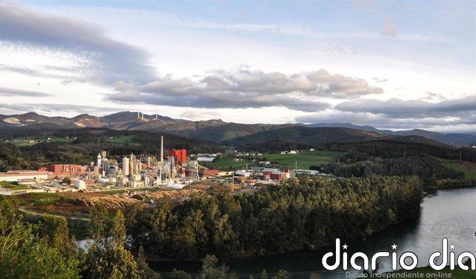 Ence prevé que las celulosas especiales alcancen este año cerca del 40% de sus ventas de Celulosa