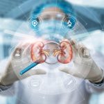 Enfermedad renal crónica: el círculo vicioso entre intestino y riñón que un fármaco experimental podría romper