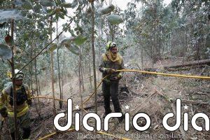 Estabilizado un incendio forestal en A Laracha (A Coruña) que afecta a 20 hectáreas