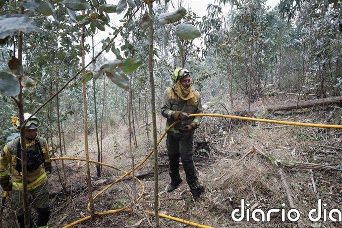 Estabilizado un incendio forestal en A Laracha (A Coruña) que afecta a 20 hectáreas