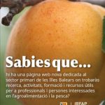 Estrenan una página web con investigaciones, formaciones y actualidad del sector primario de Baleares