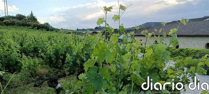 Euskadi recupera 3,15 millones de fondos FEADER a través de la redistribución del Mecanismo de Buena Ejecución