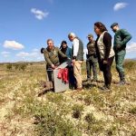 Extremadura cede un lince ibérico a la Región de Murcia para reforzar la población de la especie