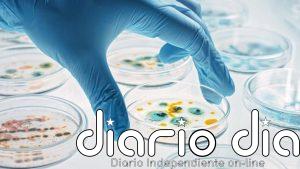 'Farmacias vivas' bajo la piel: el dispositivo que fabrica tres medicamentos a la vez dentro del cuerpo