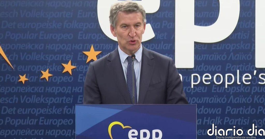 Feijóo niega estar tras el manifiesto crítico de exdirigentes de Vox: “No es justo, es falso”
