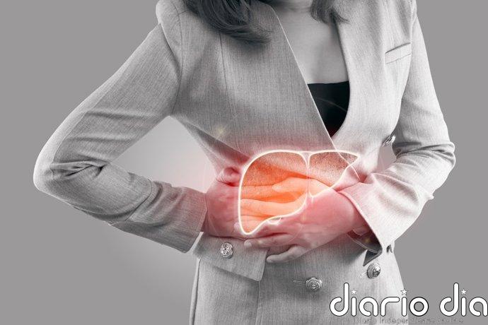 Fibrosis hepática: cuando la diabetes y la grasa abdominal castigan más al hígado de las mujeres que al de los hombres