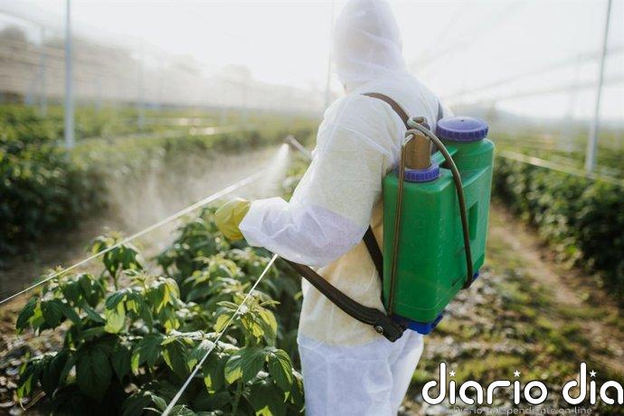 Glifosato y superbacterias resistentes: el inquietante vínculo que destapa un estudio en el delta del Paraná