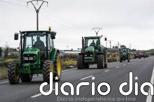 Gobierno aprueba ayudas de más de 877 millones para sector agroalimentario y pesquero por subida de costes