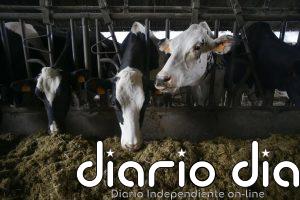 Gobierno modifica aspectos en trámite de reconocimiento de organizaciones interprofesionales agroalimentarias