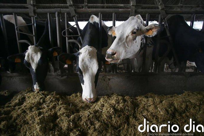 Gobierno modifica aspectos en trámite de reconocimiento de organizaciones interprofesionales agroalimentarias