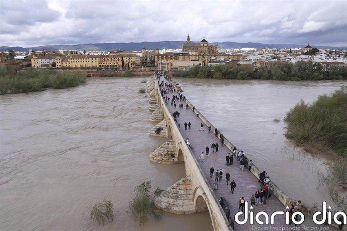 Hacemos Córdoba exige al alcalde ampliar los registros para facilitar las ayudas a afectados por las inundaciones