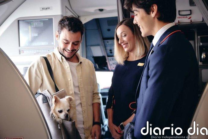 Iberia digitaliza el viaje de mascotas y permite que se añadan a la reserva directamente desde la web