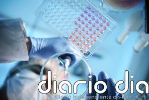 Identifican una sustancia activa prometedora contra la hepatitis E