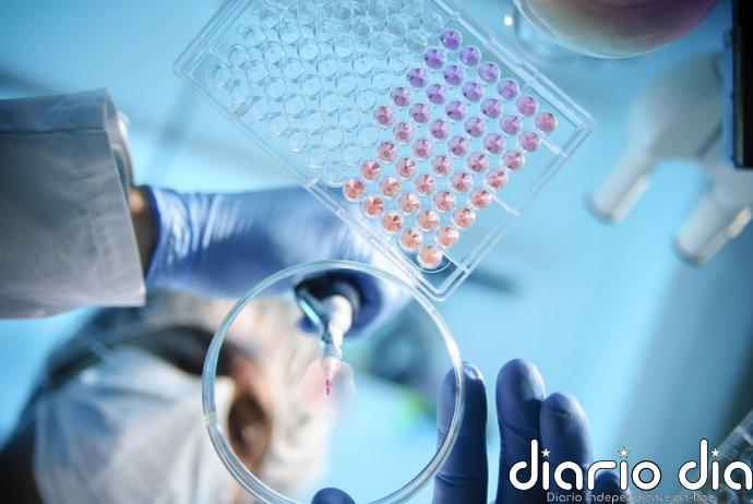 Identifican una sustancia activa prometedora contra la hepatitis E