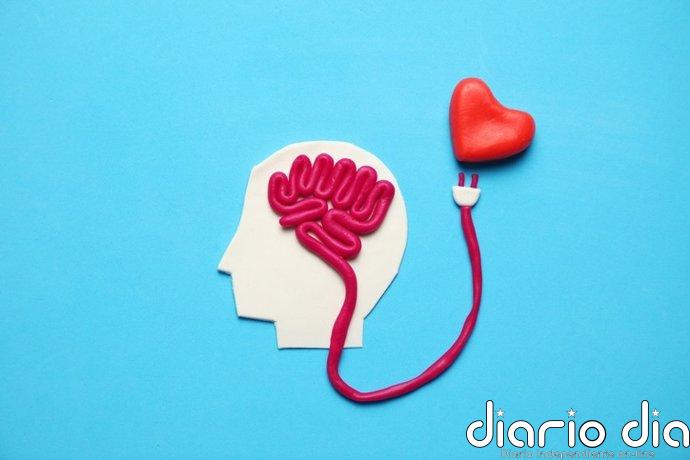 Infartos, ictus y memoria: una nueva guía para mayores que mira a corazón y cerebro al mismo tiempo