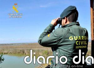 Investigado en Málaga por intervenir más de 200 especímenes de corales y otras especies protegidas de fauna marina