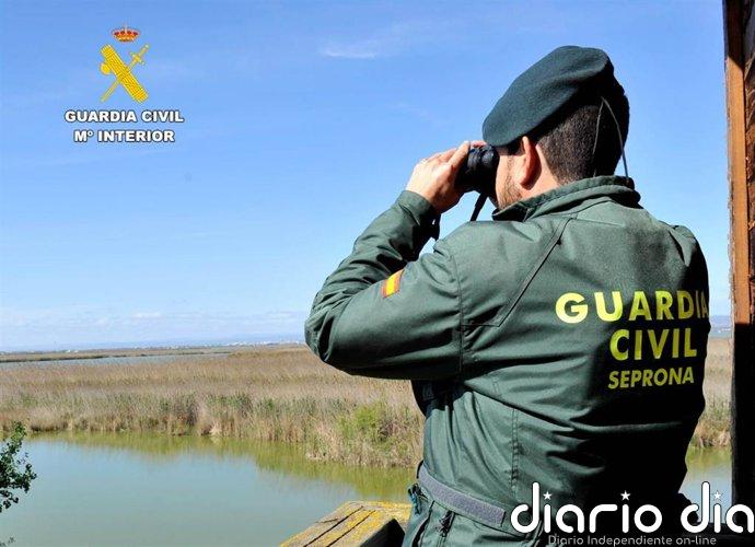 Investigado en Málaga por intervenir más de 200 especímenes de corales y otras especies protegidas de fauna marina