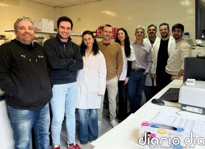 Investigadores españoles identifican una diana terapéutica en el estudio del cáncer de mama