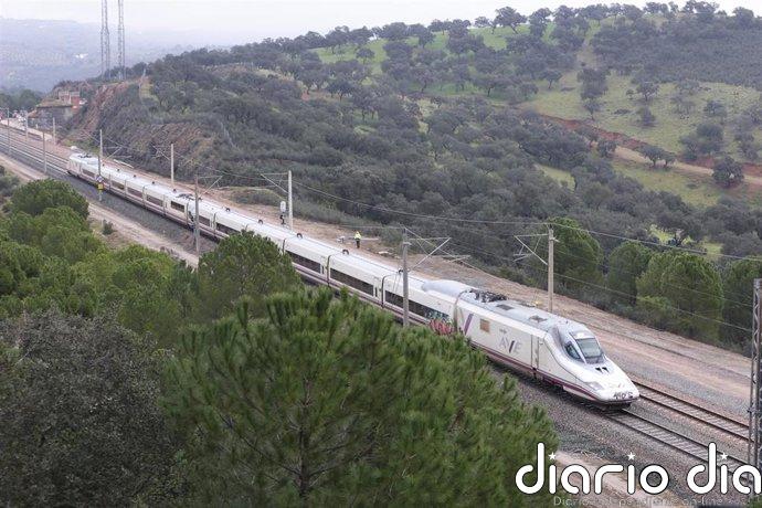 La alta velocidad pierde un 14,4% de viajeros en enero en un contexto de descenso del transporte público