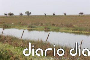 La Fiscalía de la AN demanda a MITECO para que exija medidas de reparación a quienes extraen ilegalmente agua en Doañana