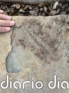 La Fundación Dinópolis sigue descubriendo huesos de reptil volador en el Jurásico de El Castellar (Teruel)