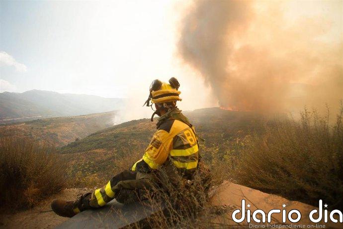 La Junta de CyL declara peligro medio de incendios forestales del 27 marzo al 6 de abril