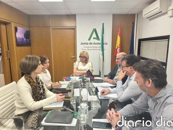 La Junta perfila ayudas para el campo tras las borrascas en diálogo con el sector agrario andaluz