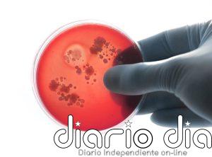 La meningitis sigue siendo una amenaza global: más de 250.000 muertes en 2023 pese al avance de las vacunas