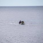 La migración irregular en la ruta canaria cae un 83% en 2026 respecto a los dos primeros meses de 2025, según Frontex