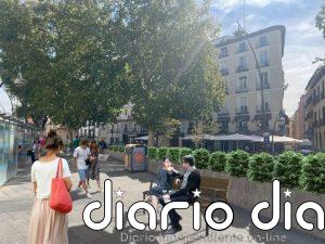 La plaza de Tirso de Molina sumará una veintena de árboles después de la remodelación que está a punto de finalizar