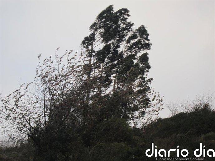 La Ribera del Ebro en aviso amarillo por fuertes vientos este martes, con rachas de 70 kilómetros por hora