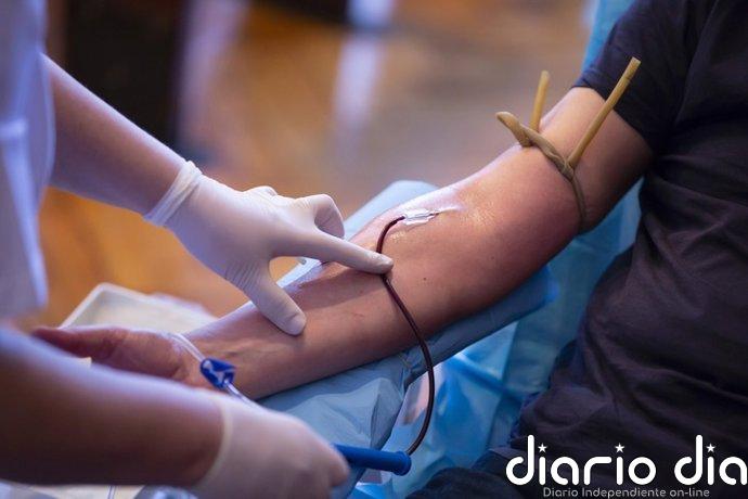 La SEHH subraya el papel de la medicina de precisión y la IA en el futuro de los síndromes mielodisplásicos