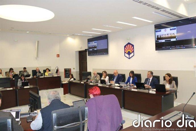 La Universidad de Córdoba aprueba su oferta de plazas de nuevo ingreso para el curso 2026/2027