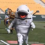 Las mascotas de LaLiga ponen a prueba sus habilidades en el estadio de La Cartuja