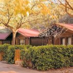 Las pernoctaciones en alojamientos extrahoteleros aumentaron un 3,6% en enero hasta superar los 6,6 millones