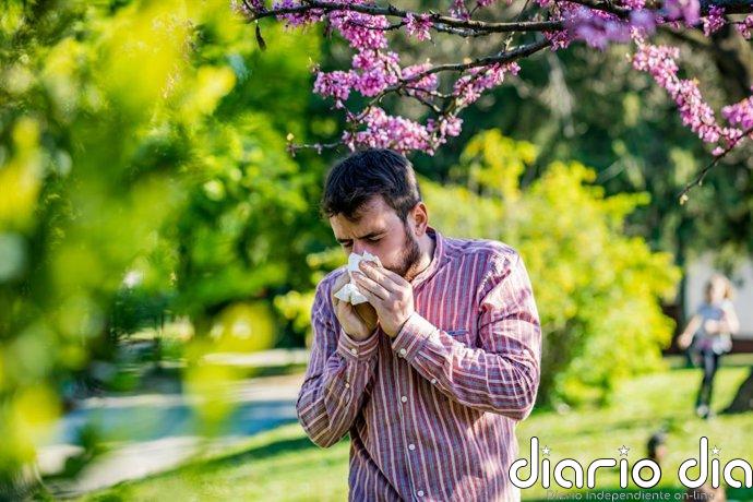 Los alergólogos alertan de una primavera especialmente intensa en España