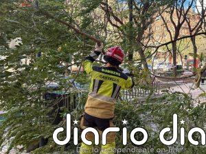 Los bomberos de la ciudad de Castelló realizan más de 60 servicios por el viento y la Policía Local 179 intervenciones