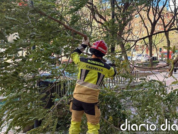 Los bomberos de la ciudad de Castelló realizan más de 60 servicios por el viento y la Policía Local 179 intervenciones