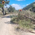 Los bomberos realizan en Valencia y Castellón numerosos servicios por las rachas de viento registradas este domingo
