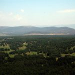 Los candidatos a la Presidencia de CyL dedican esta jornada a pasar tiempo con su familia tras la campaña